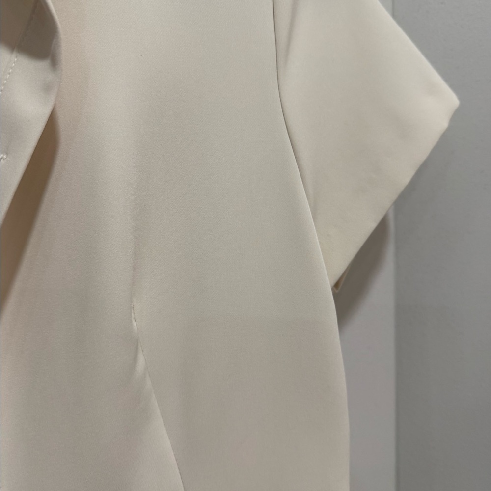 Zara Cream Button-Down Mini Dress - Picture 8 of 11